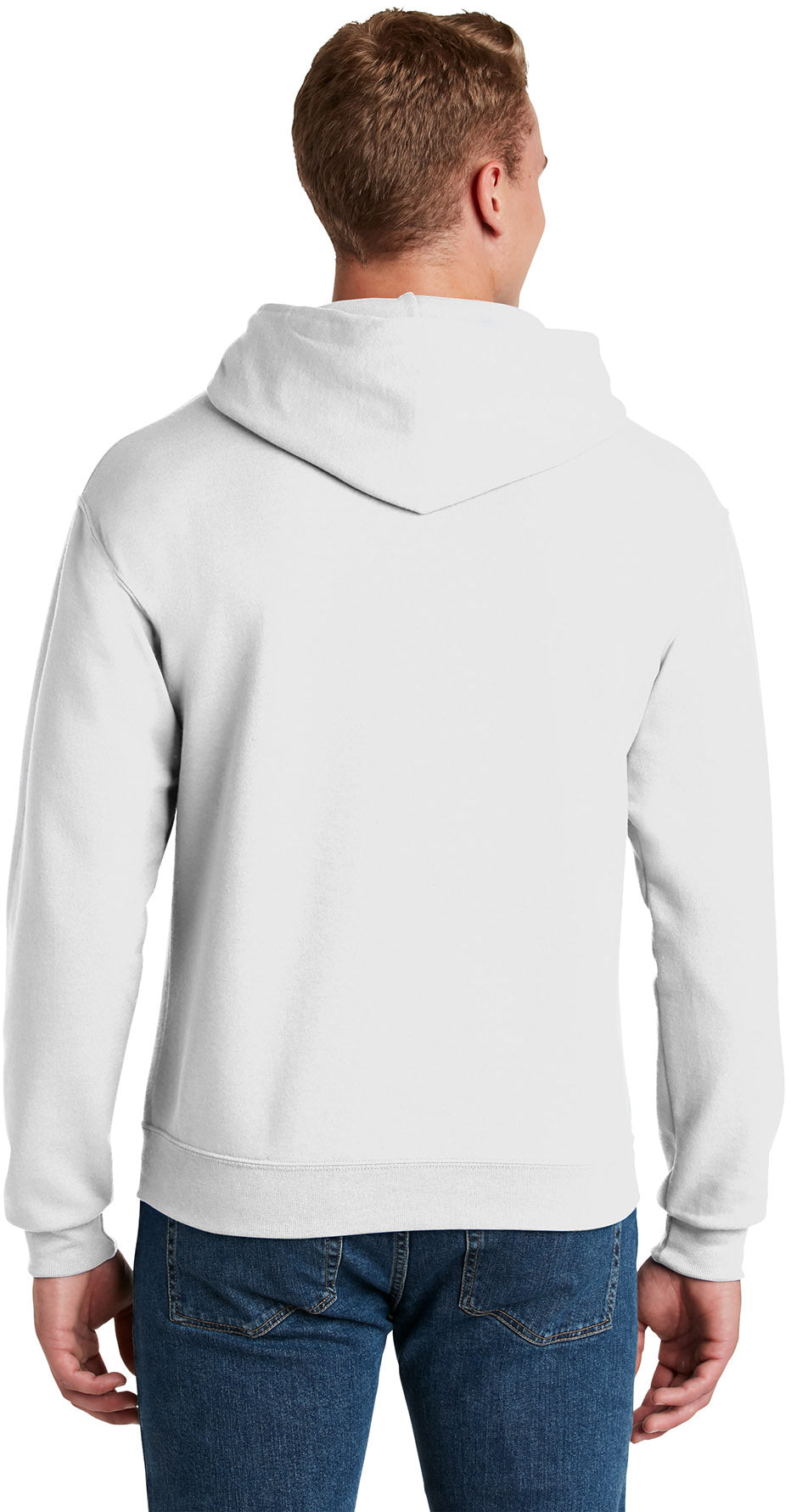 {"transparent": false, "variant": false}