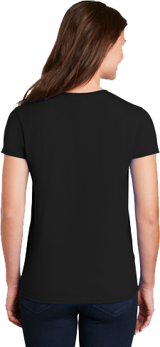 {"transparent": false, "variant": false}