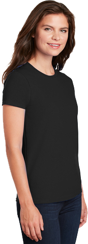 {"transparent": false, "variant": false}